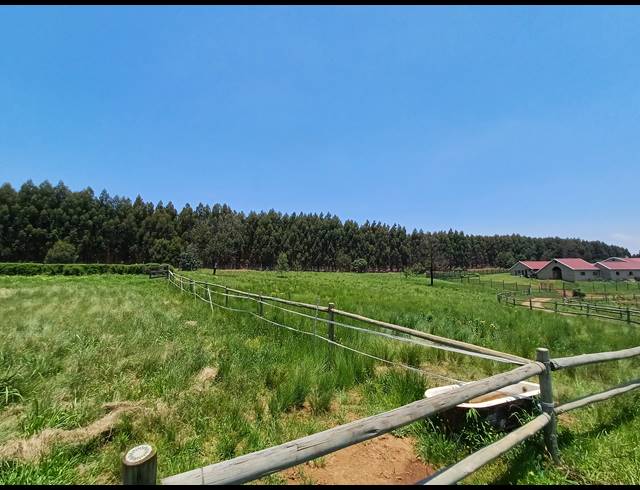 1HA VACANT LAND FOR SALE IN HILTON RURAL